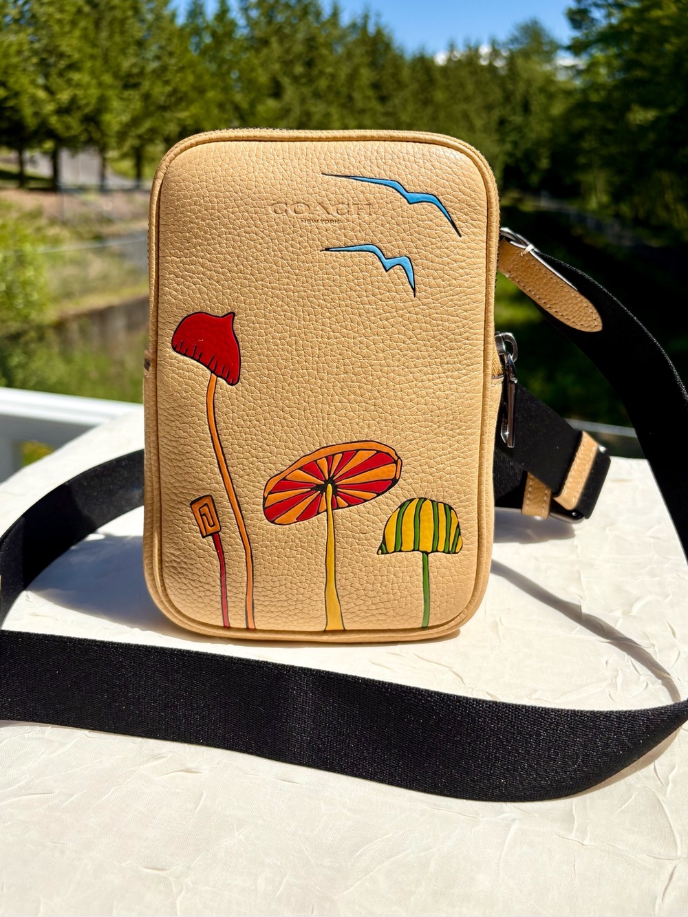 COACH X Observed By Us Aden Crossbody Bag CU543